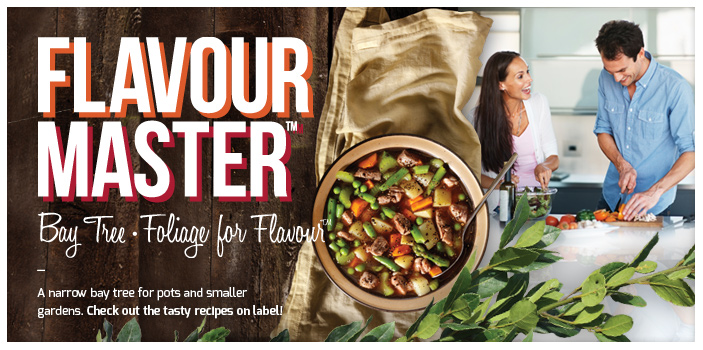 Home-Banner-Flavour-Master