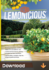 Citrus-Lemonicious