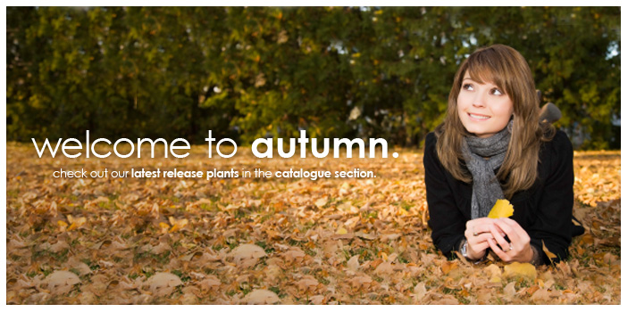 Home-Banners-Autumn