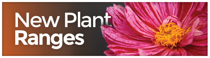 Plant Range Banner 2015 - Small